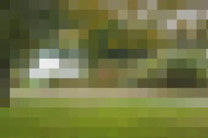 Aalsburg 2314 Wijchen thumbnail 41