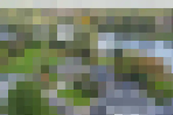 Aalsburg 2314 Wijchen thumbnail 43