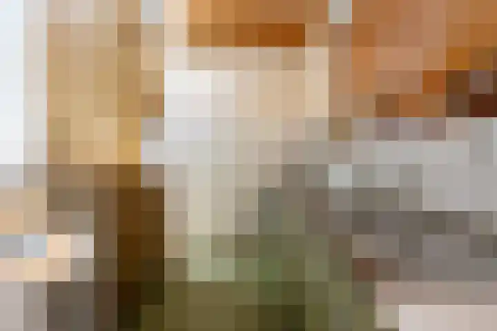 Aalsburg 2314 Wijchen thumbnail 7
