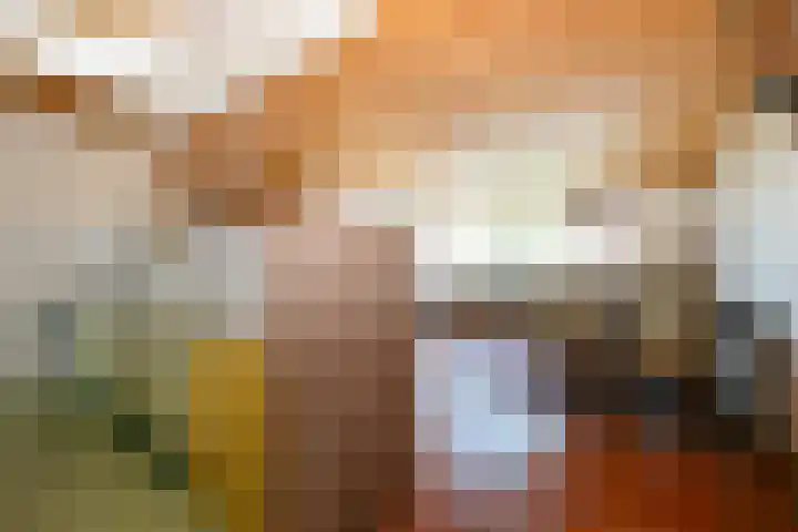 Aalsburg 2314 Wijchen thumbnail 9