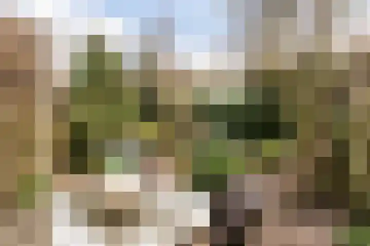 Aalsburg 2522 Wijchen thumbnail 11