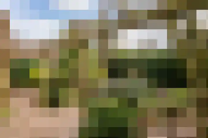 Aalsburg 2522 Wijchen thumbnail 12