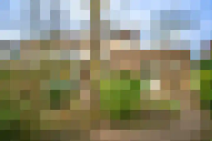 Aalsburg 2522 Wijchen thumbnail 14