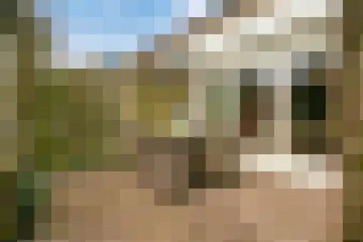 Aalsburg 2522 Wijchen thumbnail 15