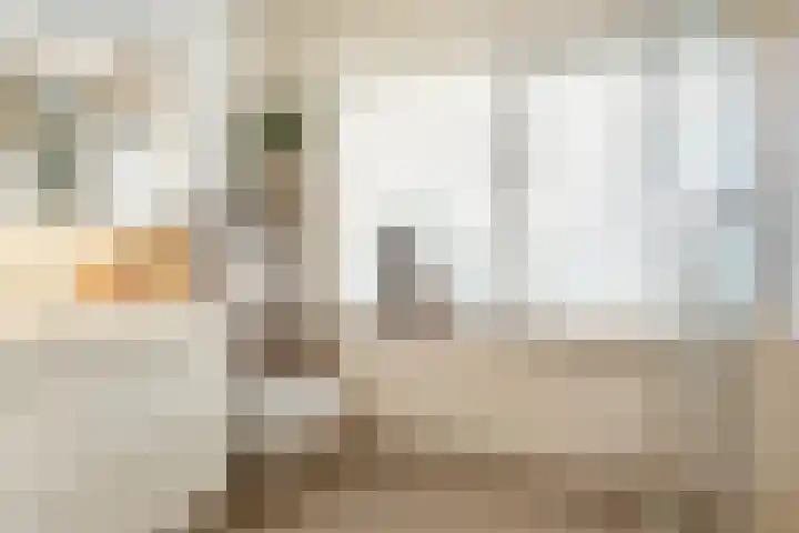 Aalsburg 2522 Wijchen thumbnail 22