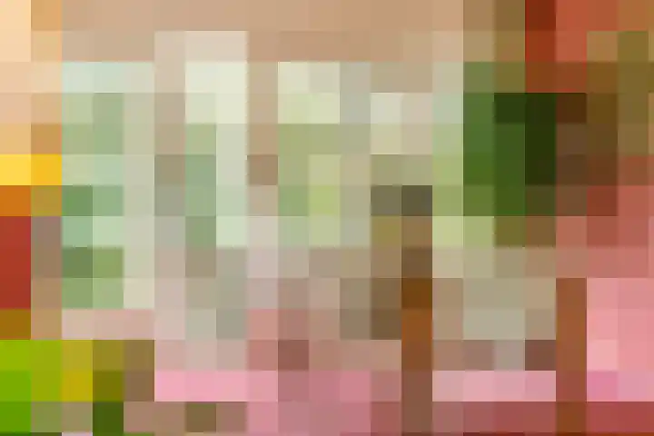 Aalsburg 2522 Wijchen thumbnail 6