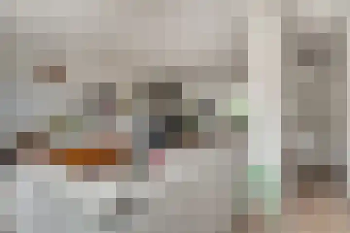 Aalsburg 2524 Wijchen thumbnail 10