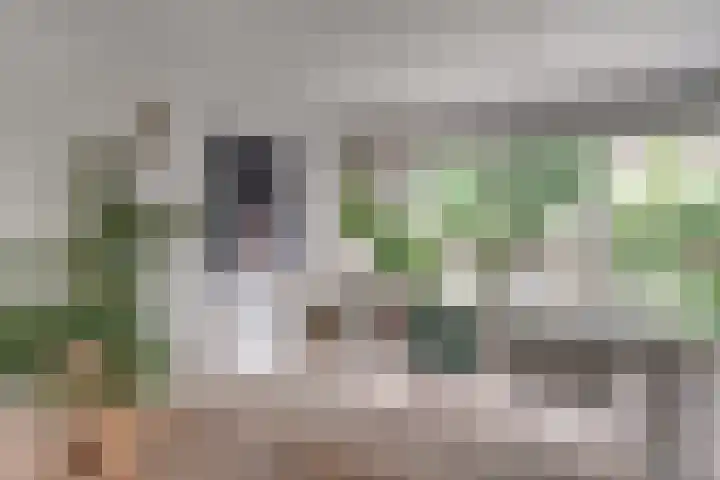 Aalsburg 2524 Wijchen thumbnail 14