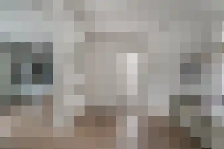 Aalsburg 2524 Wijchen thumbnail 15