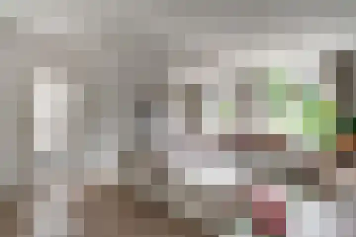 Aalsburg 2524 Wijchen thumbnail 16