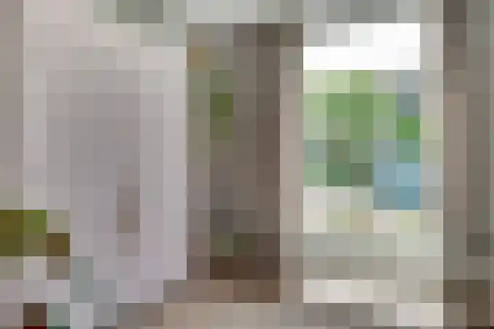 Aalsburg 2524 Wijchen thumbnail 17