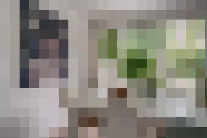 Aalsburg 2524 Wijchen thumbnail 19