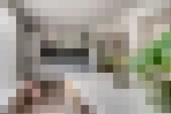 Aalsburg 2524 Wijchen thumbnail 20