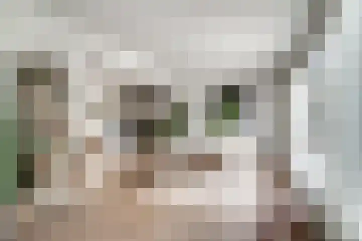 Aalsburg 2524 Wijchen thumbnail 23