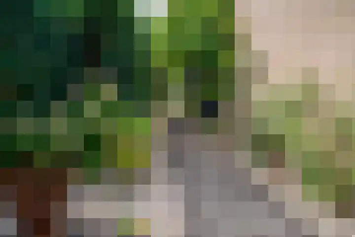 Aalsburg 2524 Wijchen thumbnail 30