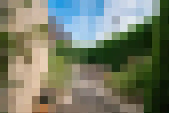 Aalsburg 2524 Wijchen thumbnail 31
