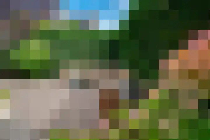 Aalsburg 2524 Wijchen thumbnail 32