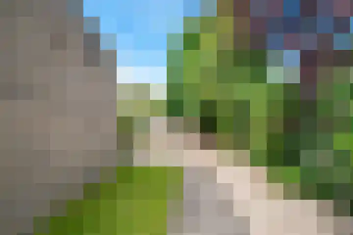 Aalsburg 2524 Wijchen thumbnail 33
