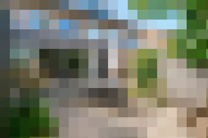 Aalsburg 2524 Wijchen thumbnail 34