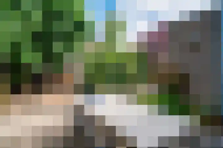 Aalsburg 2524 Wijchen thumbnail 36