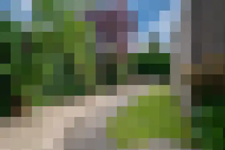 Aalsburg 2524 Wijchen thumbnail 39
