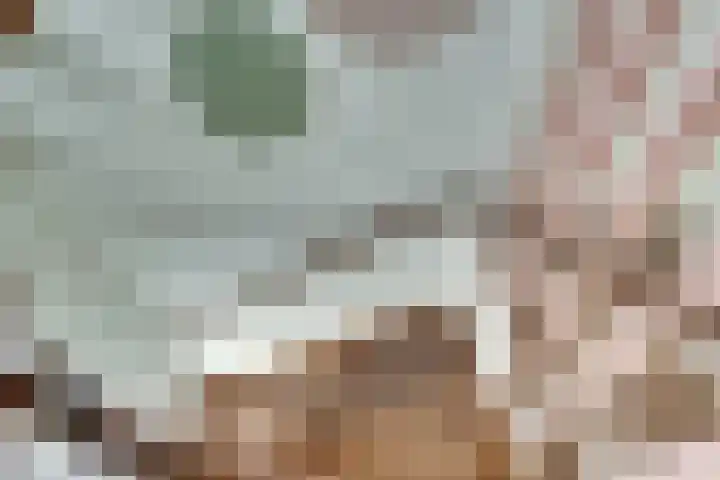 Aalsburg 2524 Wijchen thumbnail 41