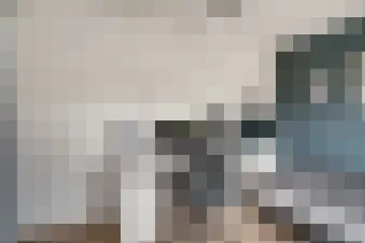 Aalsburg 2524 Wijchen thumbnail 43