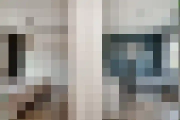 Aalsburg 2524 Wijchen thumbnail 45