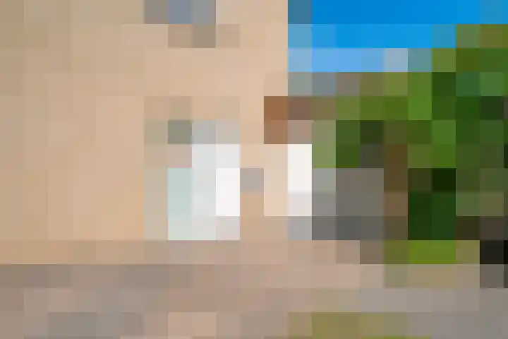 Aalsburg 2524 Wijchen thumbnail 5
