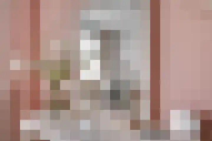 Aalsburg 2524 Wijchen thumbnail 52