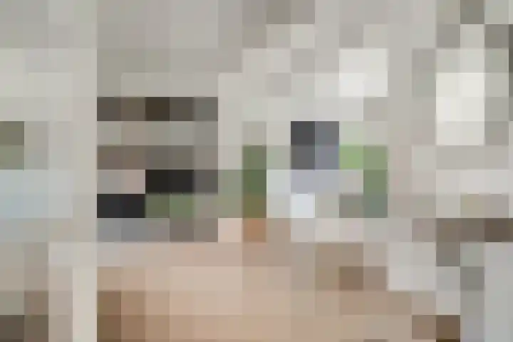 Aalsburg 2524 Wijchen thumbnail 7