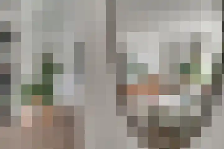 Aalsburg 2524 Wijchen thumbnail 8