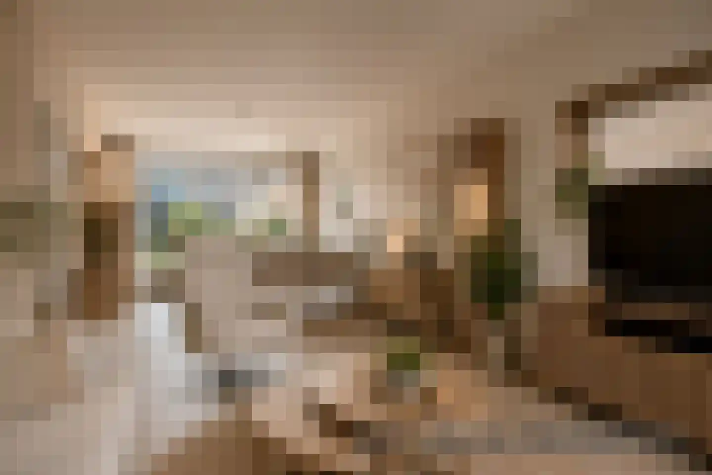 Aalsburg 2915 Wijchen thumbnail 11