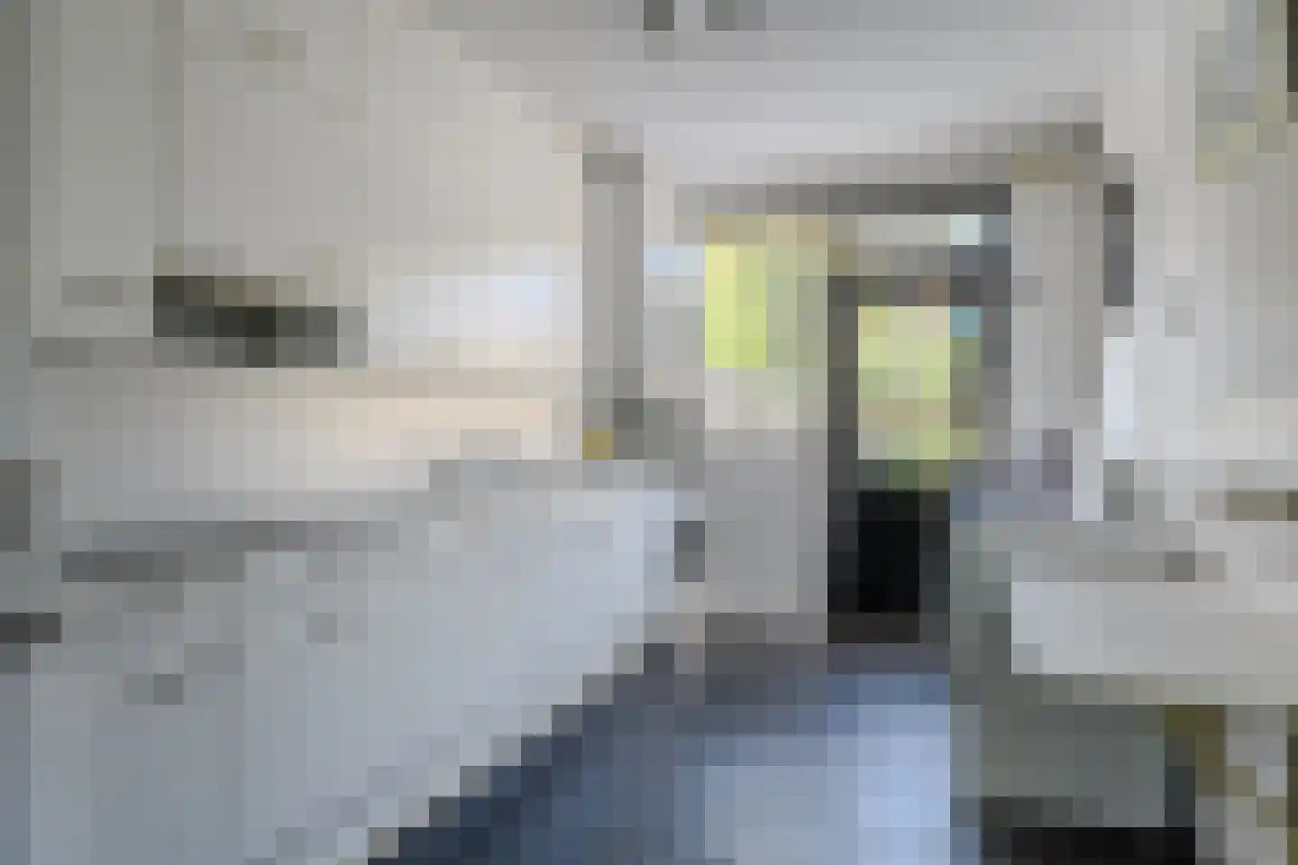 Aalsburg 2915 Wijchen thumbnail 19