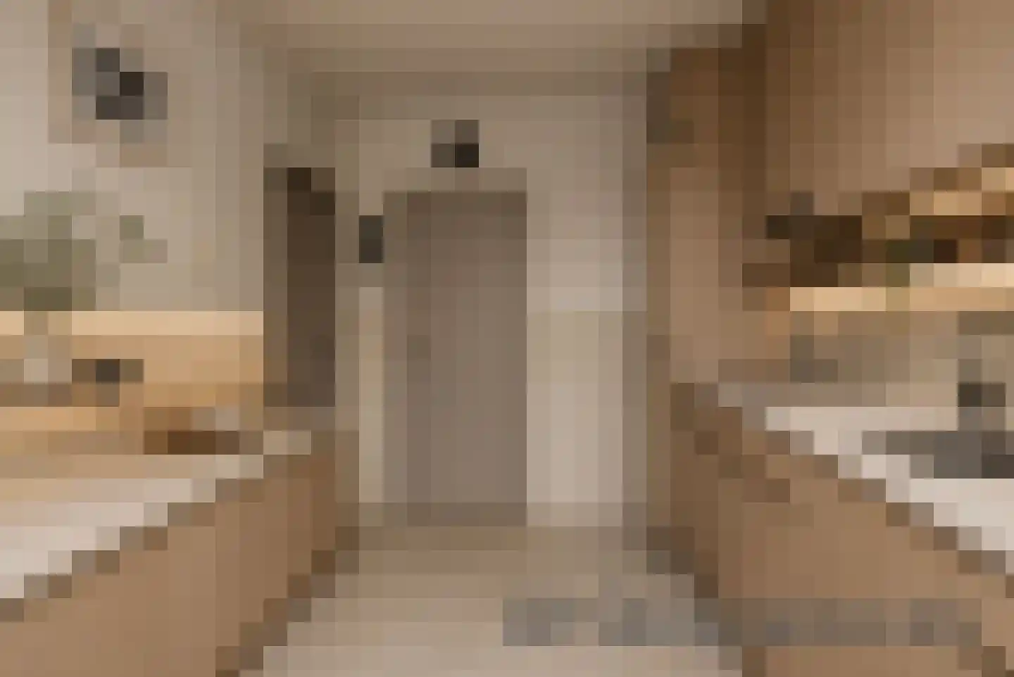 Aalsburg 2915 Wijchen thumbnail 21