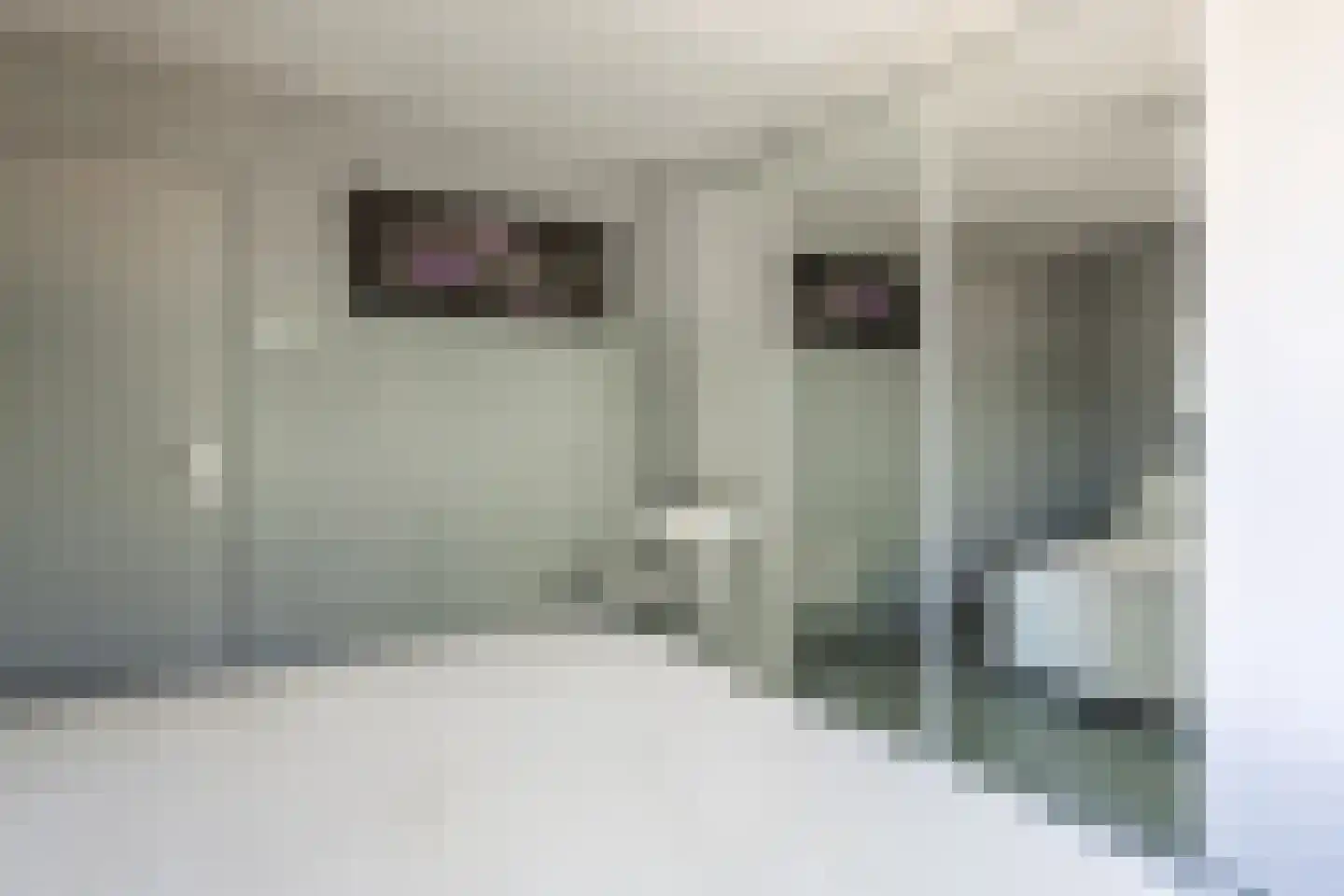 Aalsburg 2915 Wijchen thumbnail 27