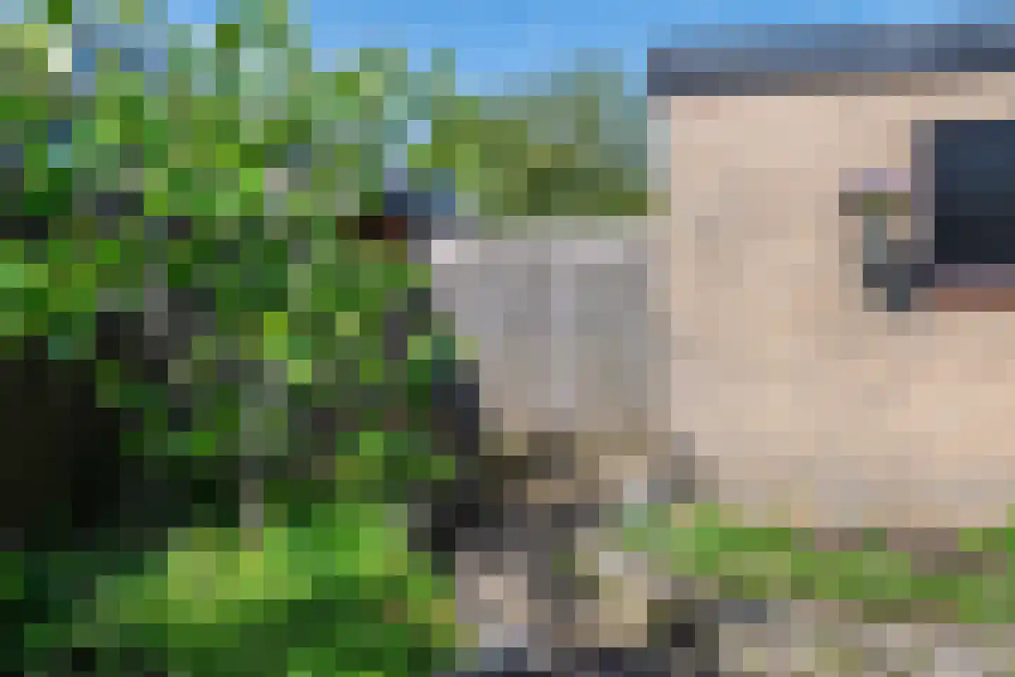 Aalsburg 2915 Wijchen thumbnail 49
