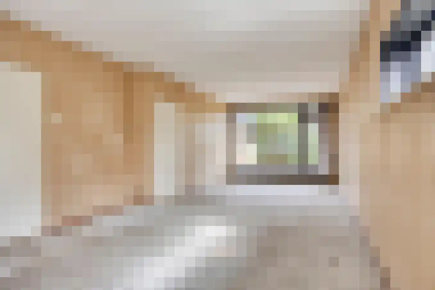 Aalsburg 3102 Wijchen thumbnail 10