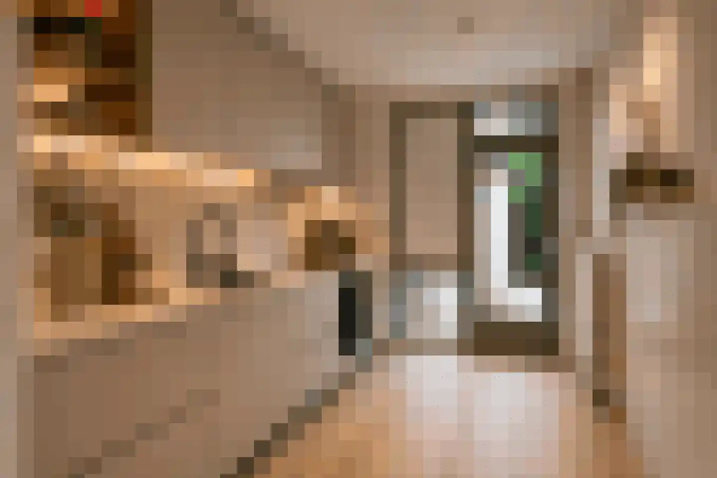 Aalsburg 3102 Wijchen thumbnail 14
