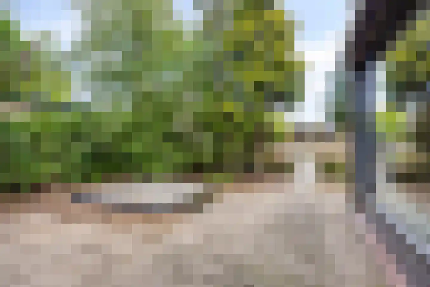 Aalsburg 3102 Wijchen thumbnail 30