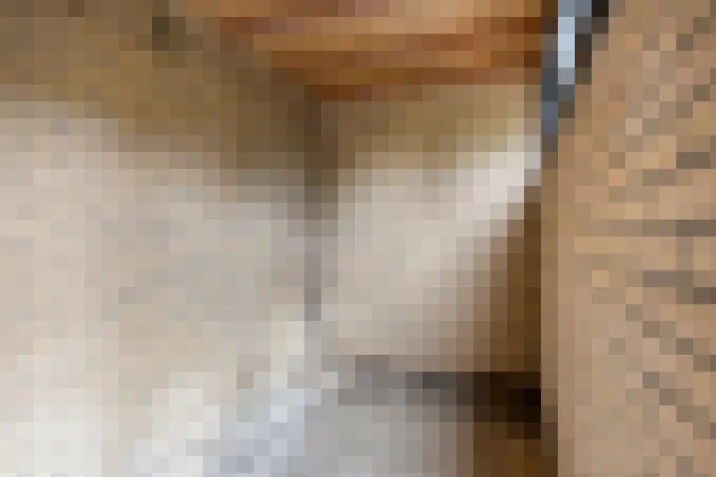 Aalsburg 3102 Wijchen thumbnail 32