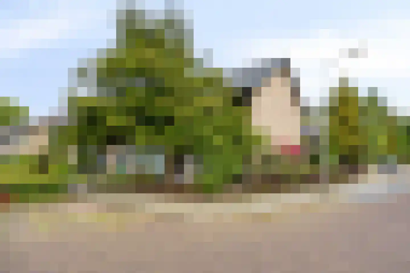 Aalsburg 3102 Wijchen thumbnail 5