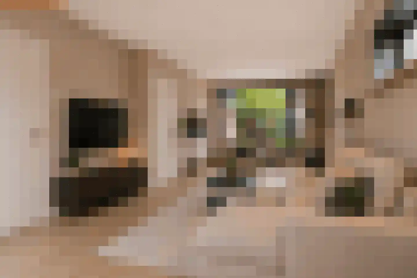 Aalsburg 3102 Wijchen thumbnail 9