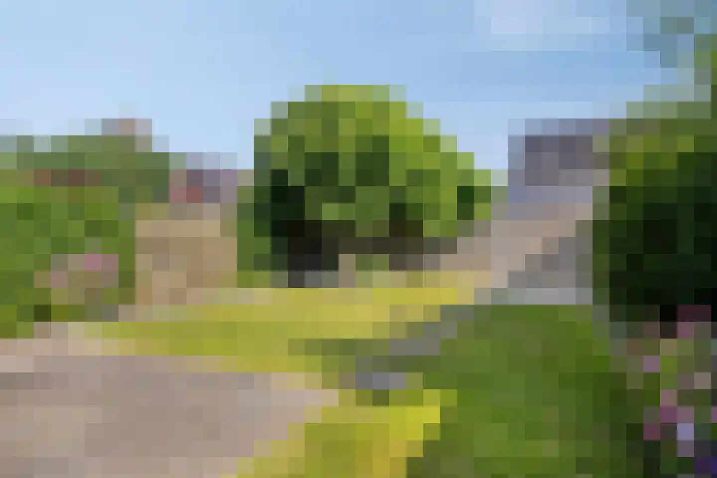 Aalscheer 7 Borne thumbnail 25