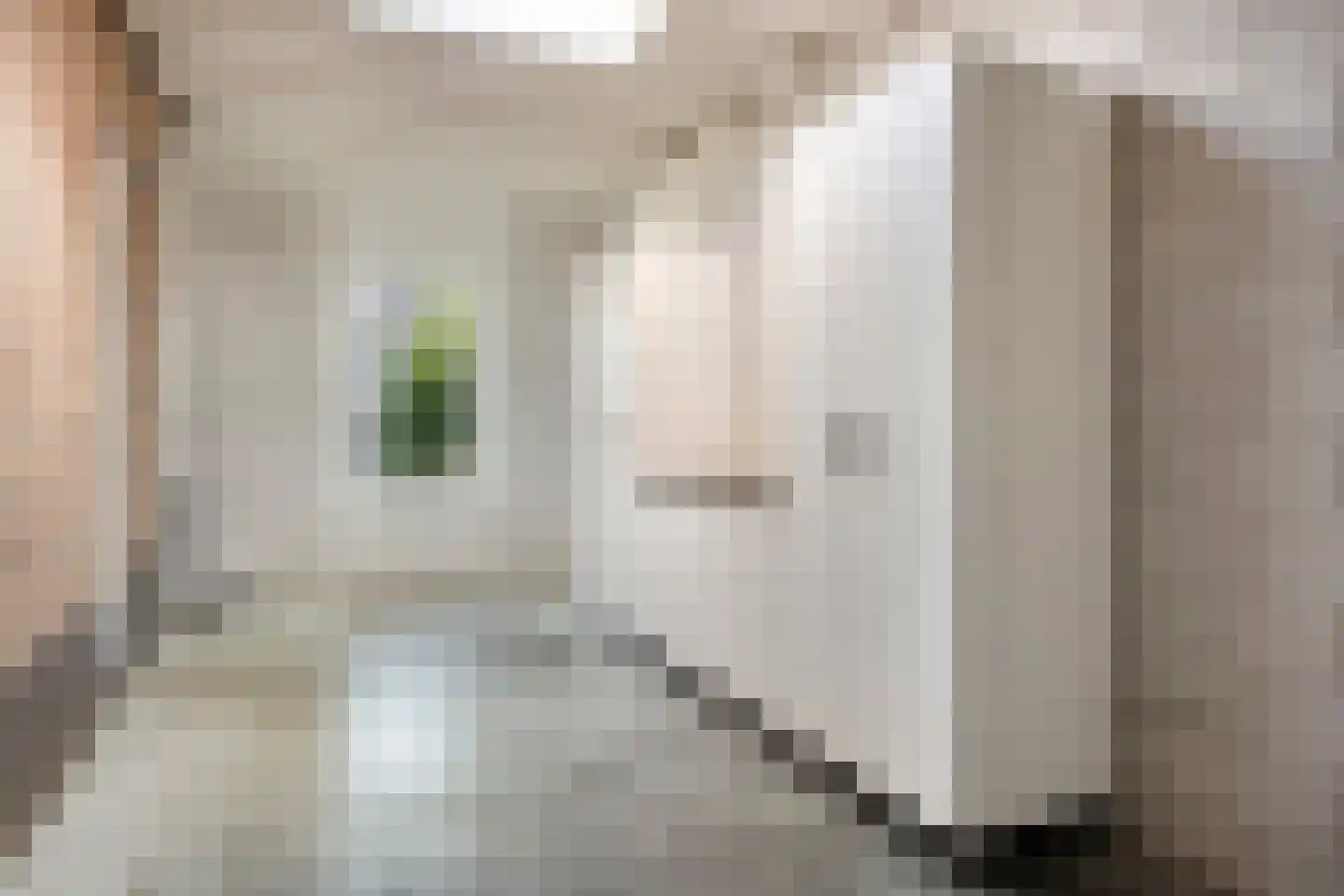 Aalscheer 7 Borne thumbnail 26