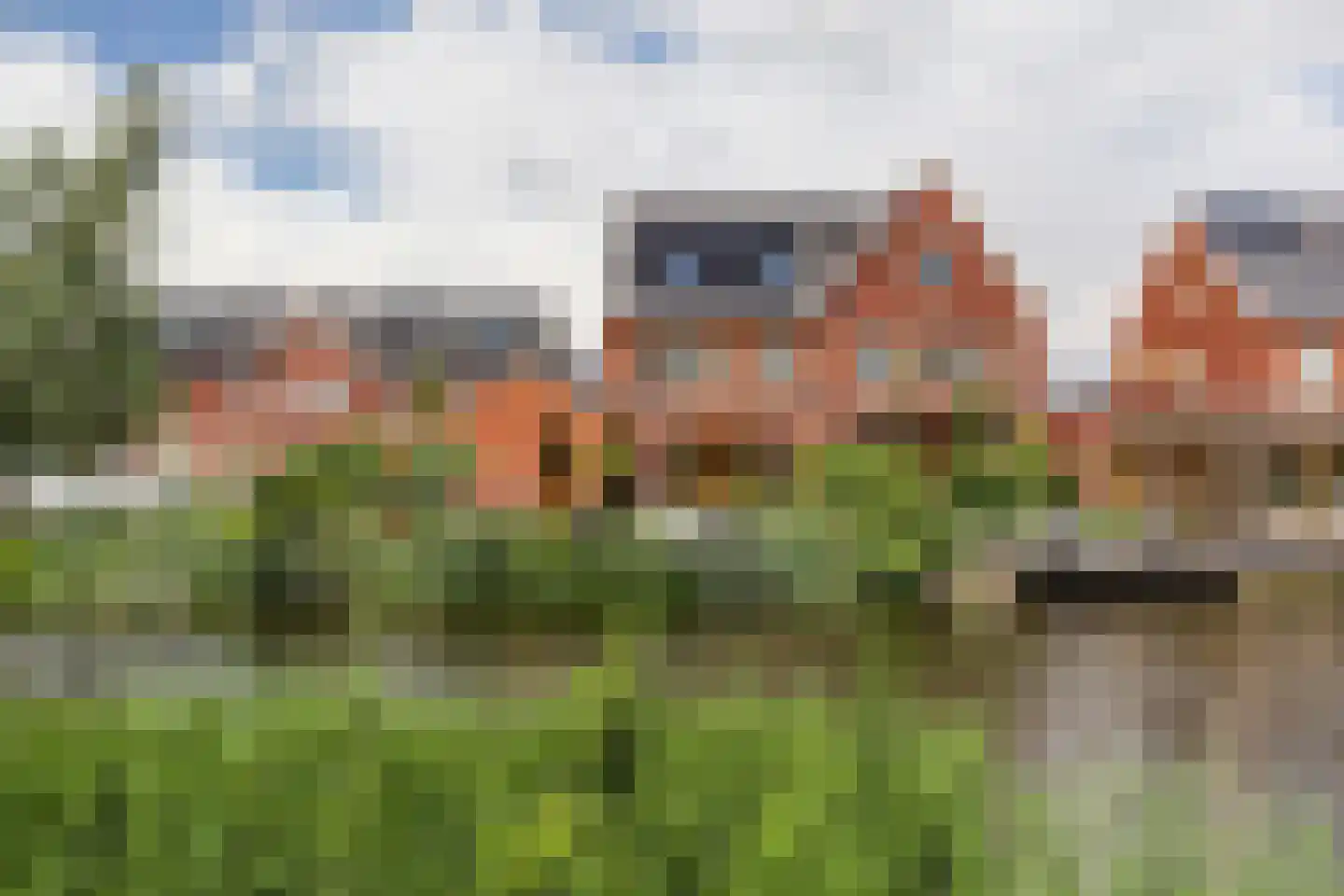 Aalscholver 10 in Veenendaal