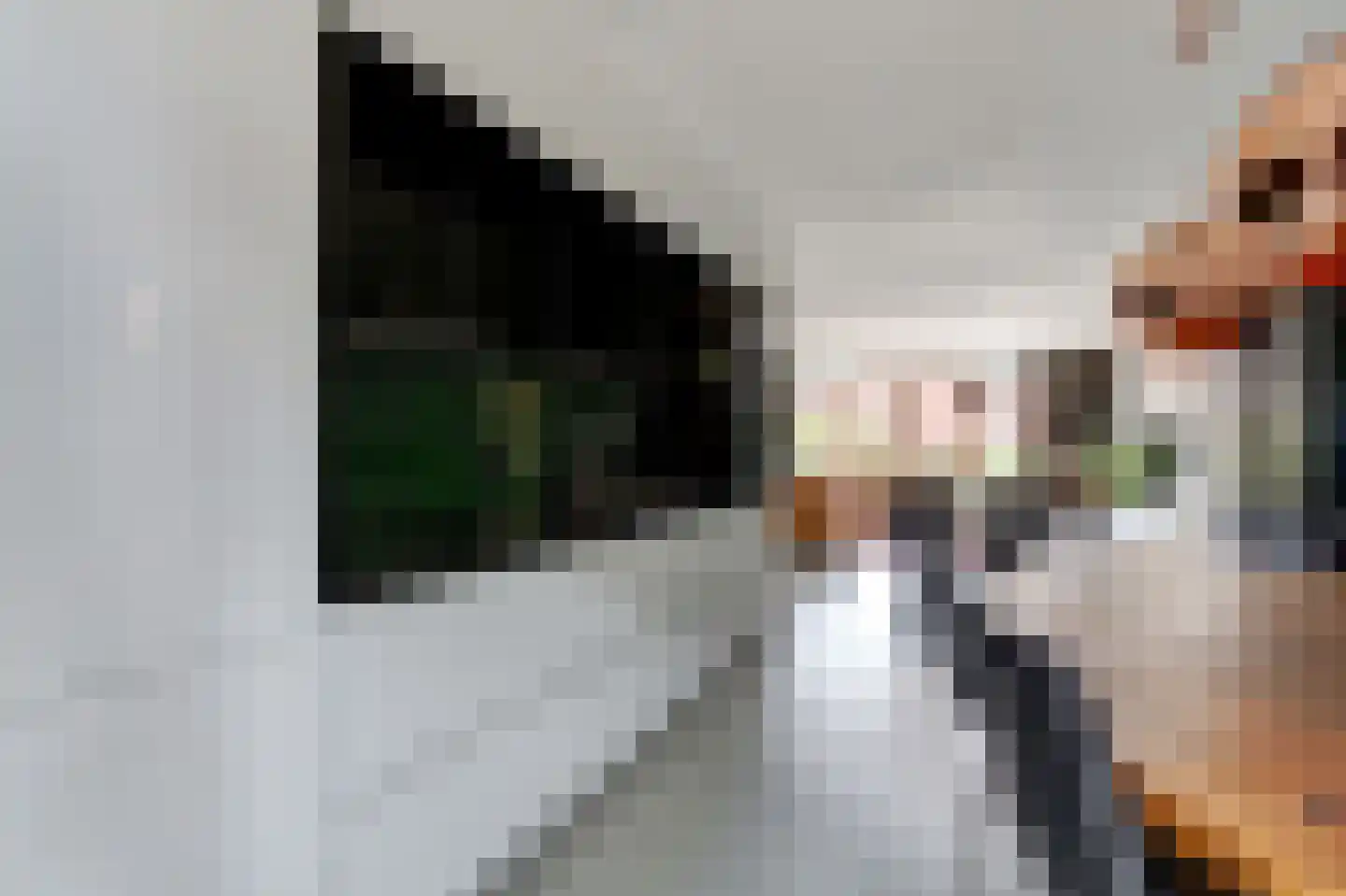 Aalscholver 10 Veenendaal thumbnail 12