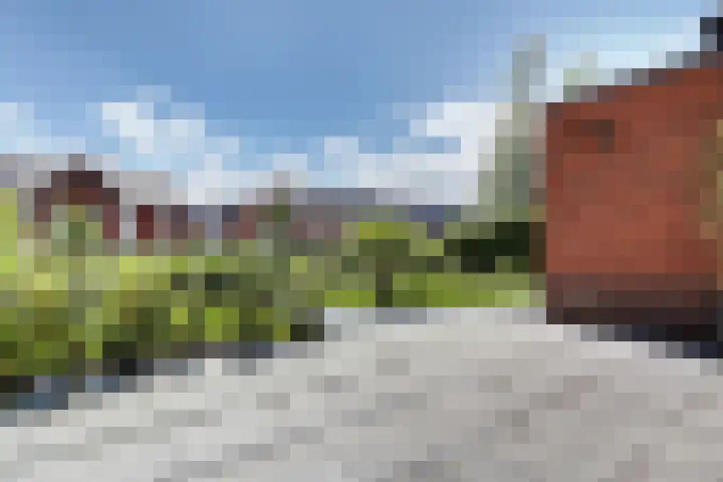 Aalscholver 10 Veenendaal thumbnail 30