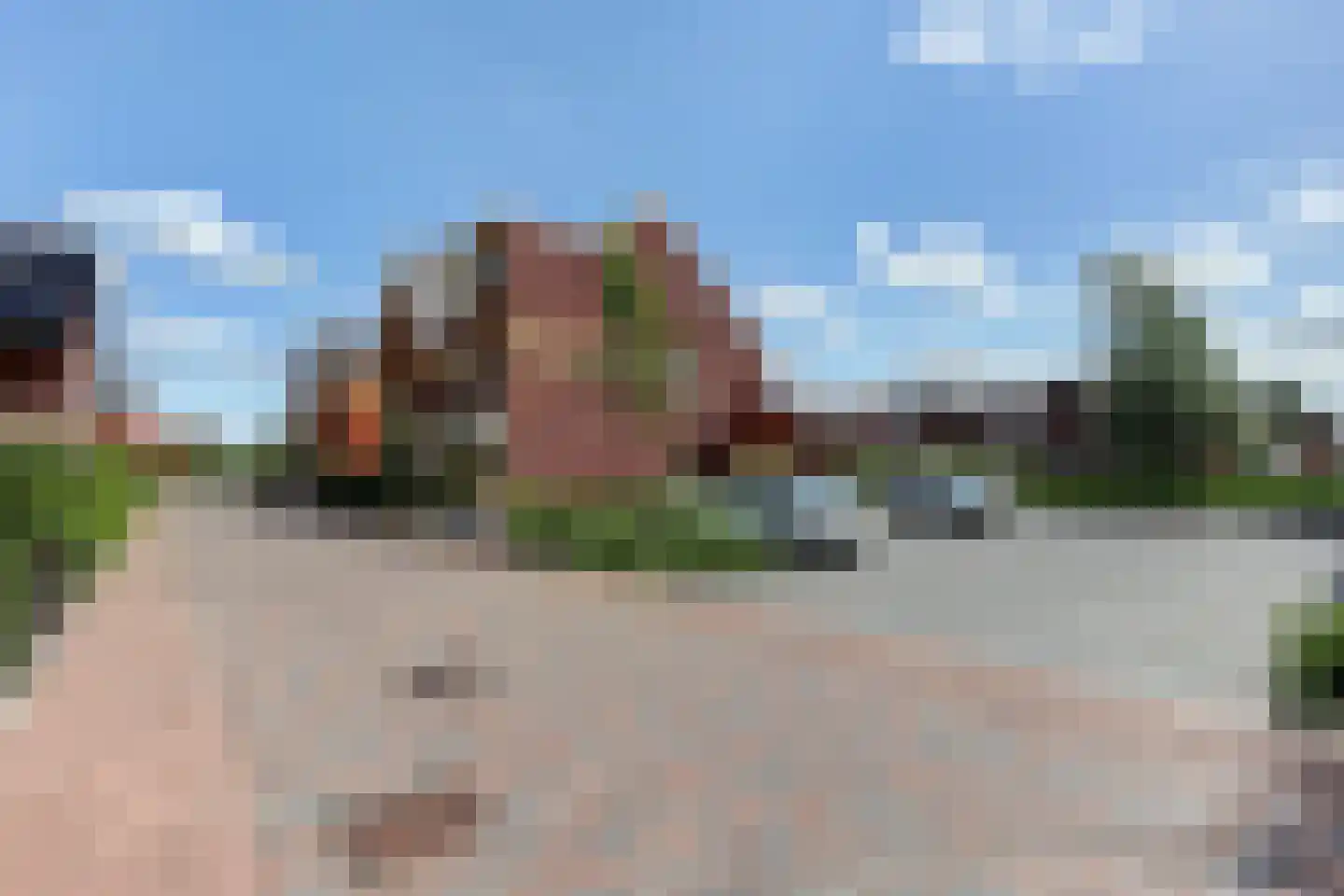 Aalscholver 10 Veenendaal thumbnail 35