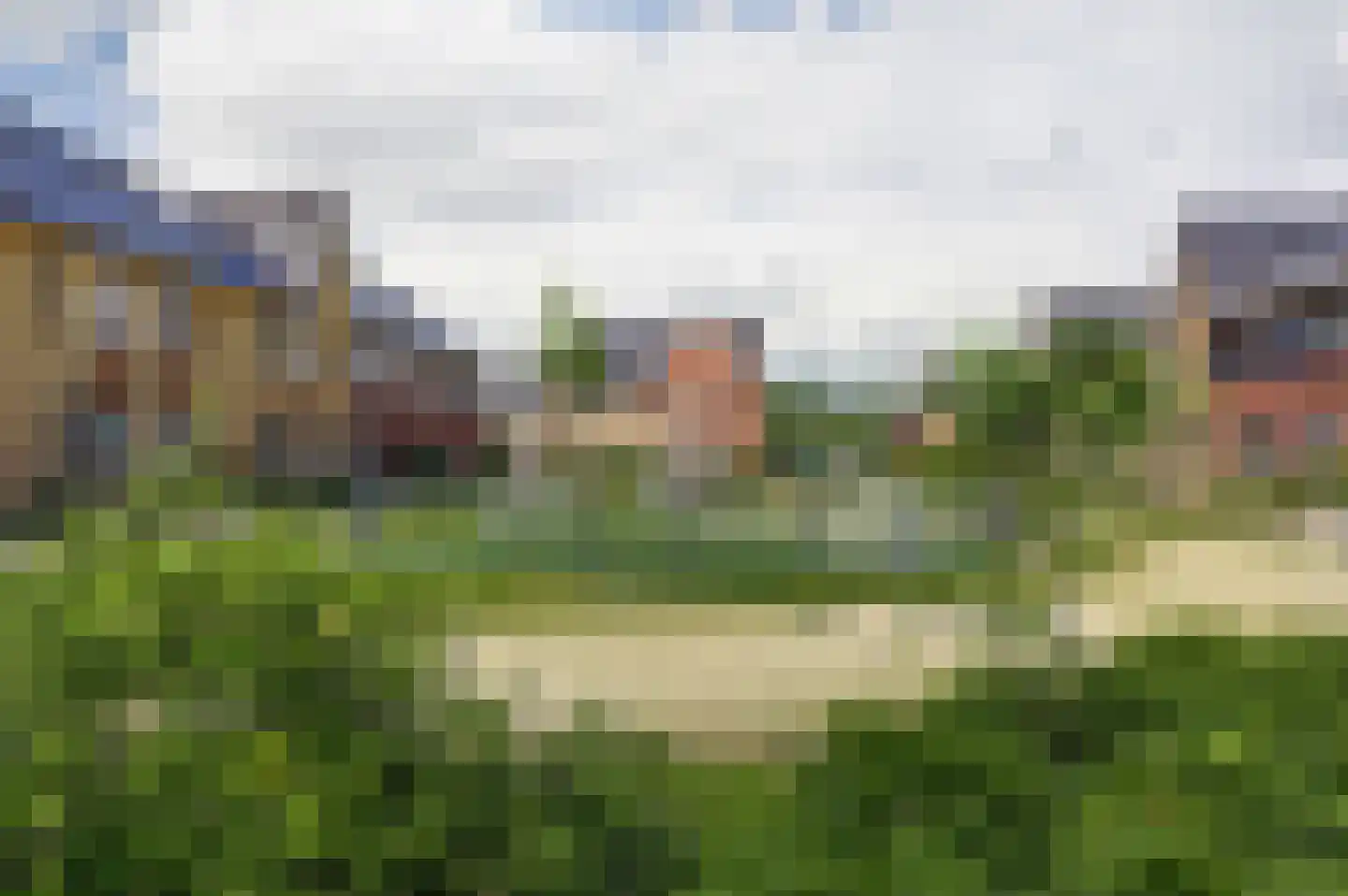 Aalscholver 10 Veenendaal thumbnail 36